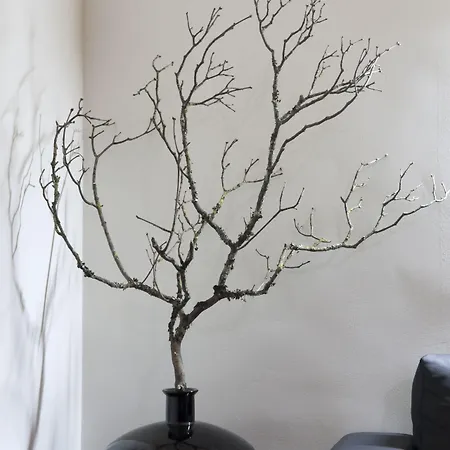 Quinta Dos 4 Lagares Konukevi Serrazes