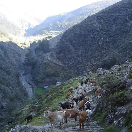 Quinta Dos 4 Lagares Serrazes