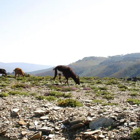 Pensión Quinta Dos 4 Lagares