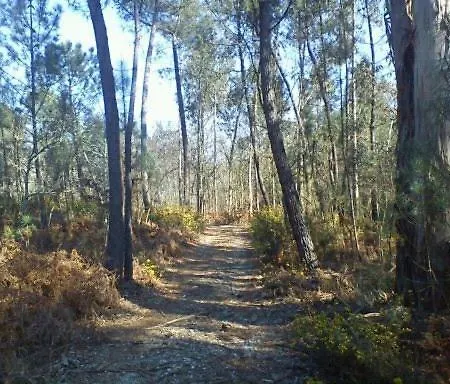 Quinta Dos 4 Lagares